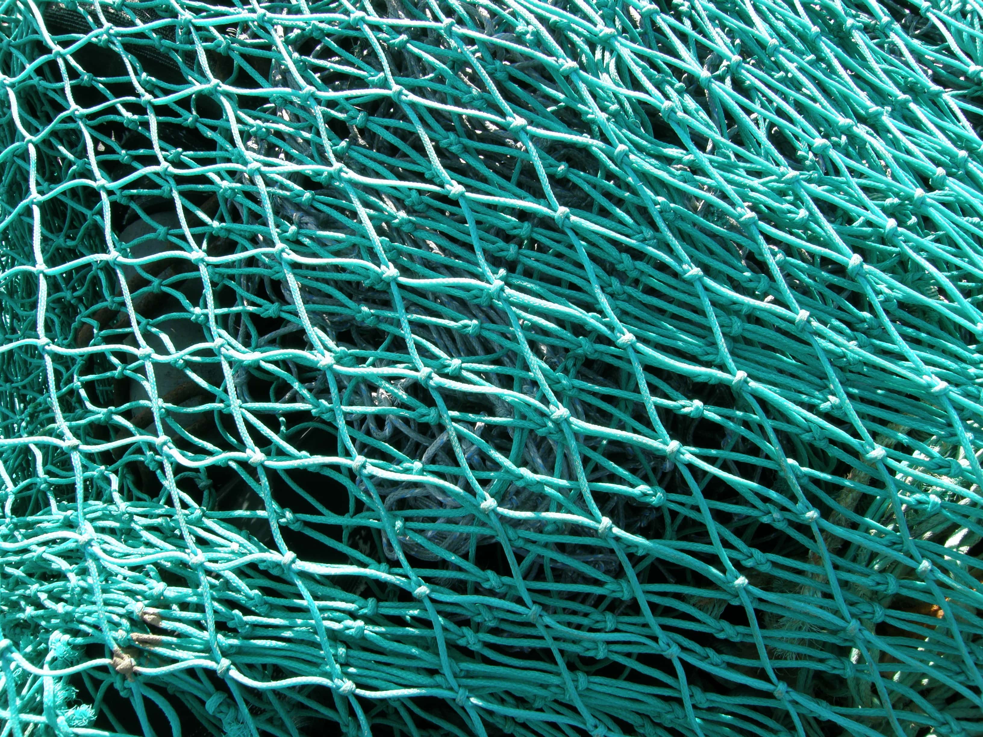 Circular economy: A new life in fashion for old fishing nets - European  Commission